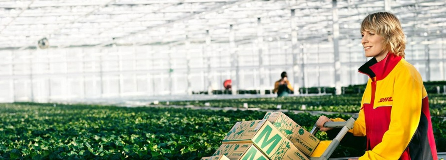 Air Freight Customer Service Intern null